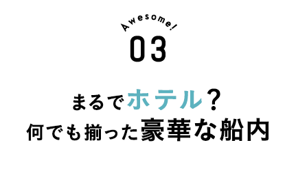 まるでホテル？何でも揃った豪華な船内