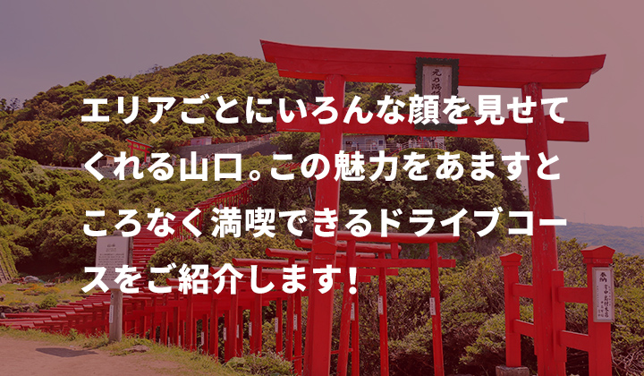 エリアごとにいろんな顔を見せてくれる山口。この魅力をあますところなく満喫できるドライブコースをご紹介します！